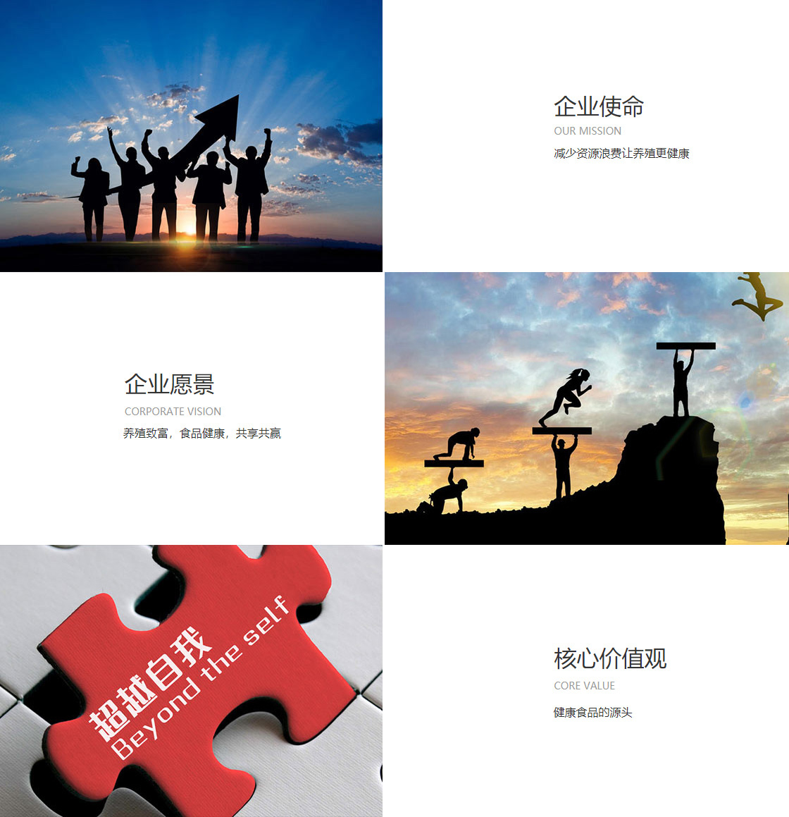 博鱼·体育中国官方平台(图1)
